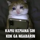 Límmiði
