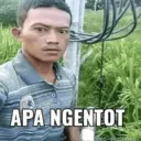 Stiker