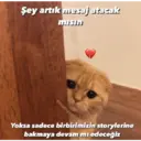 Наліпка