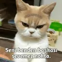 Наліпка
