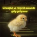 Límmiði
