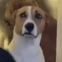 Çıkartma