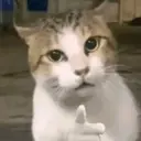 Çıkartma