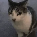 Çıkartma