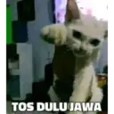 Stika