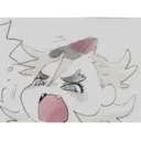 贴纸