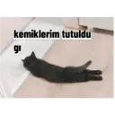 Límmiði
