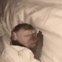 ملصق