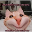 Çıkartma