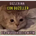 Çıkartma