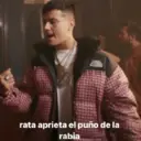 Samolepka