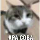 Стикер