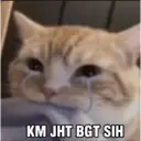 Çıkartma