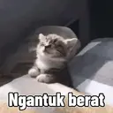 Çıkartma