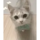 Çıkartma