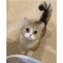 Çıkartma