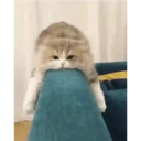 Çıkartma