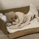 స్టికర్