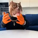 Samolepka