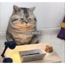 ਸਟਿਕਰ