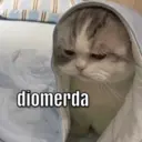 ਸਟਿਕਰ