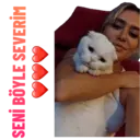 Çıkartma