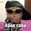 Límmiði