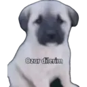 ملصق