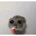 สติกเกอร์