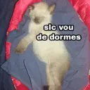 Figurinha