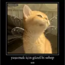 Çıkartma