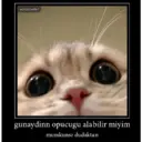 Çıkartma