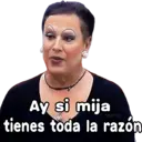 Stika
