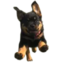 ស្ទីកเกอร์