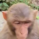 ملصق