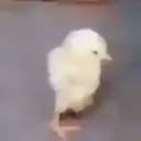 ملصق