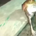 ਸਟਿਕਰ