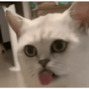 Nhãn dán