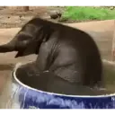 贴纸