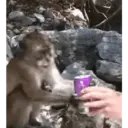 贴纸