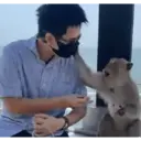 贴纸