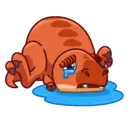 Nhãn dán