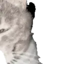 ස්ටිකර්