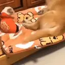 ස්ටිකර්