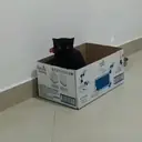 ස්ටිකර්