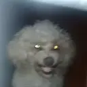 ස්ටිකර්