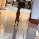 ස්ටිකර්