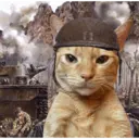 Nhãn dán
