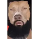 Nhãn dán