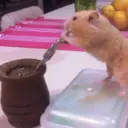 Կպչուն պիտակ